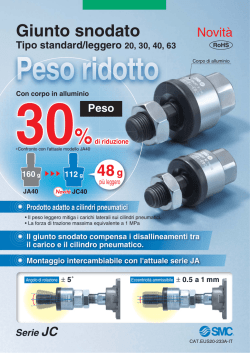 Giunto snodato