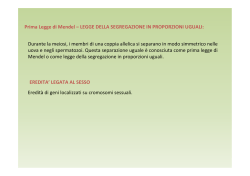 Scaricare - File PDF