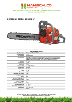 MOTOSEGA ZOMAX ZM-4610-16"