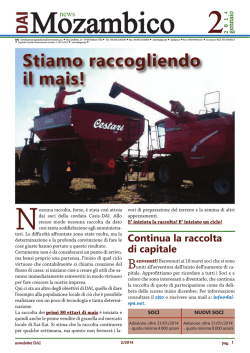 Mozambico - Development Agroindustrial Investment Spa