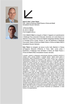 Ulrich E. Klotz * e Dario Tiberto FEM – Istituto di