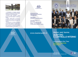 Scarica la brochure 2014-15 - Master Auditing e Controllo Interno