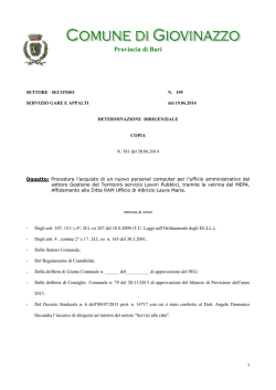 determinazione n. 195 del 19.06.2014