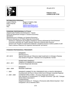 curriculum vitae