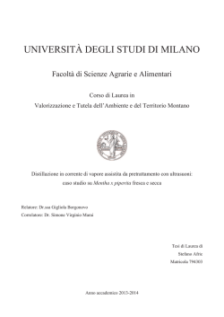 UNIVERSIT&Agrave; DEGLI STUDI DI MILANO