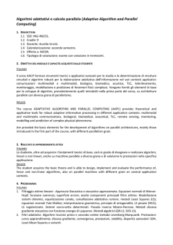 Algoritmi adattativi e calcolo parallelo (Adaptive Algorithm and