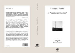Giuseppe Colombo, Il "carbone bianco".