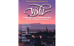 bVista 47 lay completo