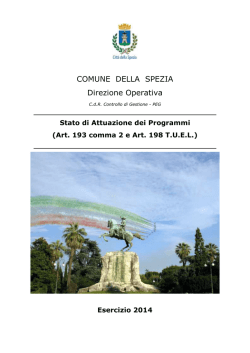 Stato di attuazione RPP - Anno 2014