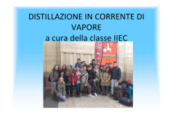 DISTILLAZIONE IN CORRENTE DI VAPORE a cura