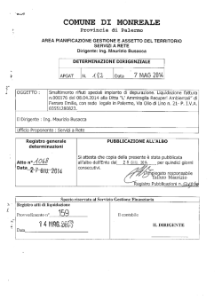 determinazione dirigenziale