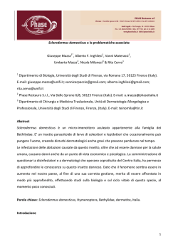 Sclerodermus domesticus e le problematiche associate Stidio sullo