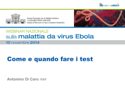 Scarica le slide - WebinarEffetti