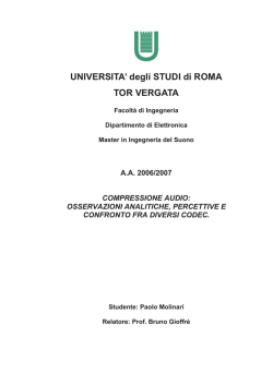 tesi-mis-paolo-molinari - SO