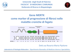 24. Seminario MERTK 120613