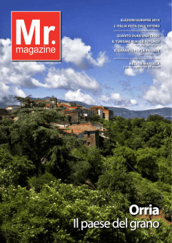 mr. magazine anno iv-n&deg; 1 gennaio /febbraio 2014