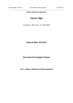 Documento classe 5Ae - IIS Falcone