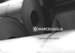 Marcegaglia Steel