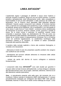 Linea Antagon&reg; creme