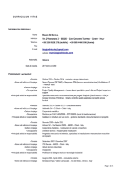 CV ita 2014 - Biagio Di Nicola