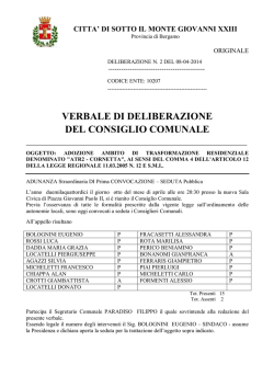 2 C.C 2014 - Citt&agrave; di Sotto il Monte Giovanni XXIII