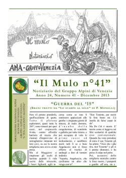 “Il Mulo n°41” - Alpini a Venezia