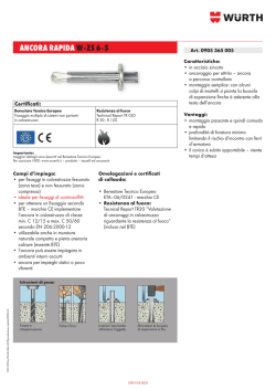 ANCORA RAPIDA W-ZS 6-5