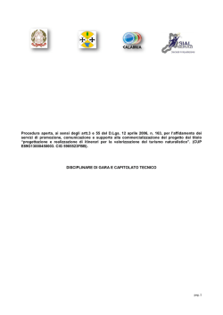 disciplinare - Sial Servizi