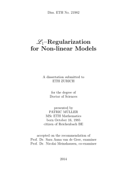多1–Regularization for Non-linear Models - ETH E
