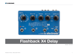 Flashback X4 Delay