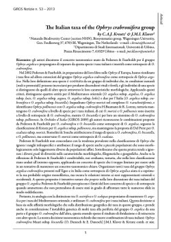 The Italian taxa of the Ophrys crabronifera group