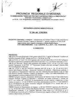 D.D. 448 N. 206 - Provincia Regionale di Messina