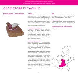 CACCIATORE DI CAVALLO