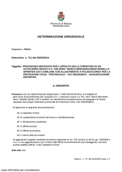 DETERMINAZIONE DIRIGENZIALE