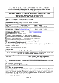 bando di gara mediante procedura aperta