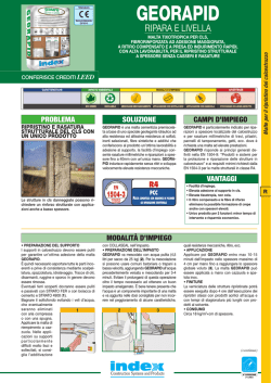 GEORAPID - Index S.p.A.
