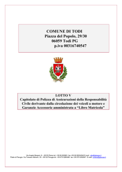Lotto V &ndash; Capitolato Automezzi &ndash; 300 Kbyte (*)