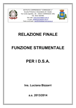relazione finale funzione strumentale per i dsa