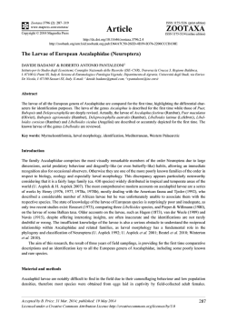 Preview - Magnolia Press