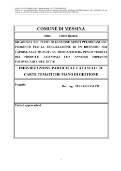 piano di gestione fabbricato