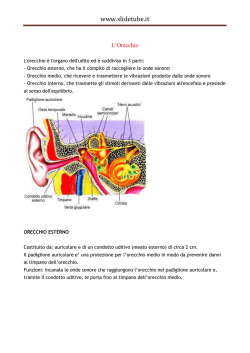 Download - in slidetube.org