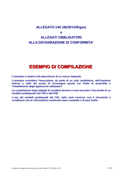 Esempio di compilazione degli allegati