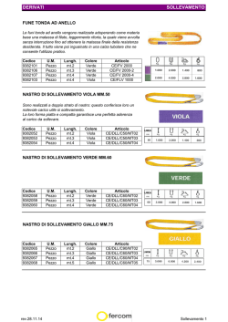 DERIVATI SOLLEVAMENTO