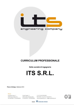 Curriculum professionale ITS Srl (pdf