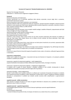 Fluidodinamica - polymertechnology.it