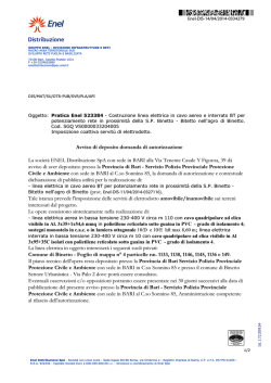 ENEL Distribuzione S.p.A.