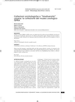 la collezione del museo zoologico ISPRA