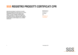 SGS Training Course Program Template (Word document)