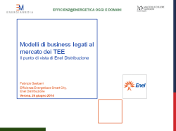 Modelli di business legati al mercato dei TEE