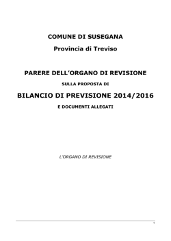 parere revisore bilancio 2014 2016_definitivo